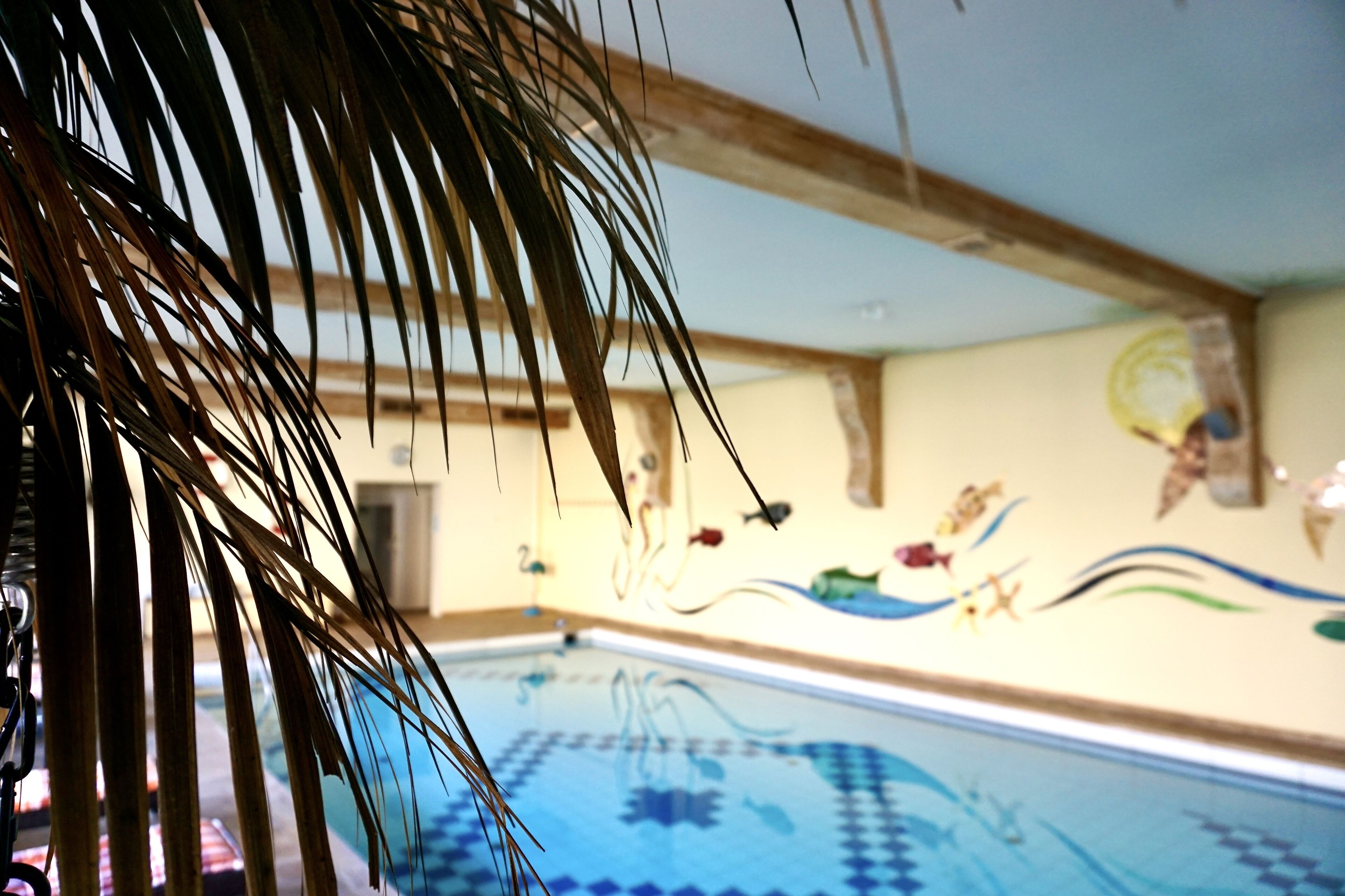 couples treatment room(s), aromatherapy, hot stone massages, body wraps