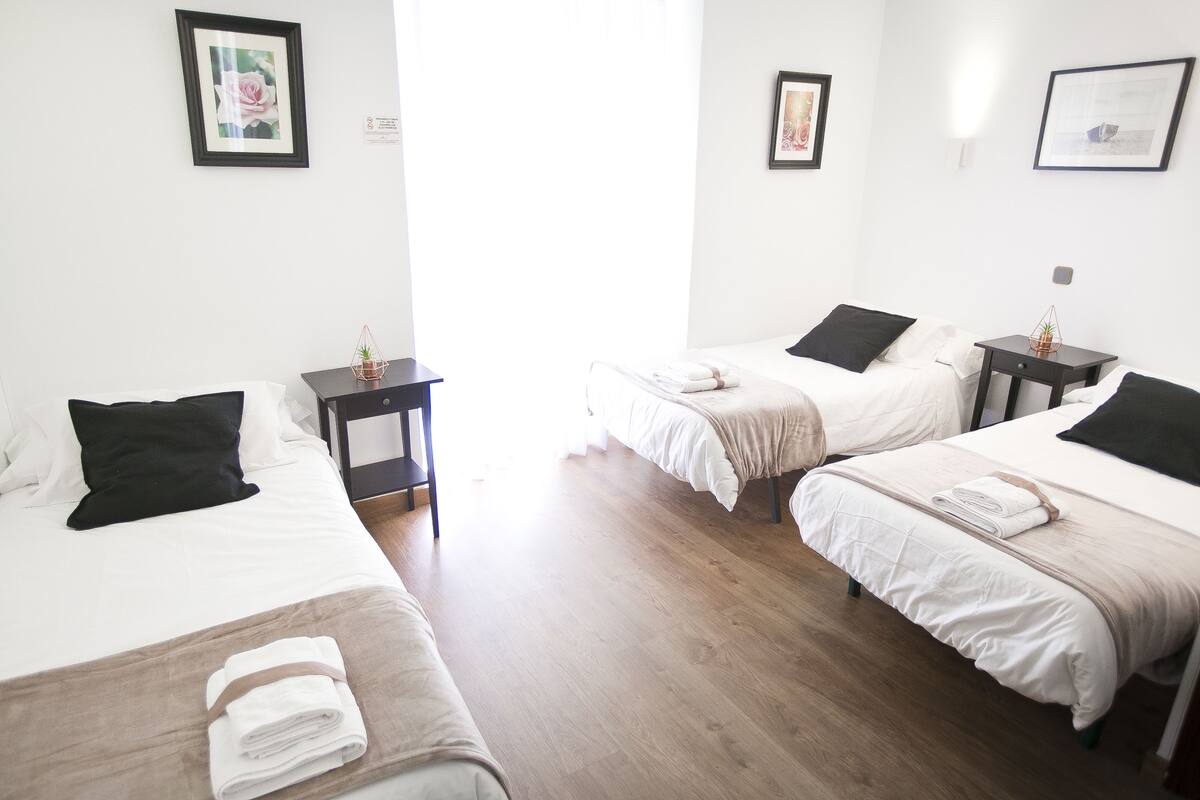 Una habitación de hotel con dos camas individuales, una mesita con una planta y un cuadro colgado en la pared.