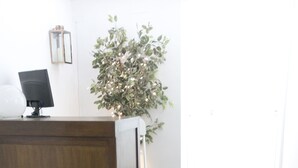 A reception desk with a computer, a potted plant, and a white wall.