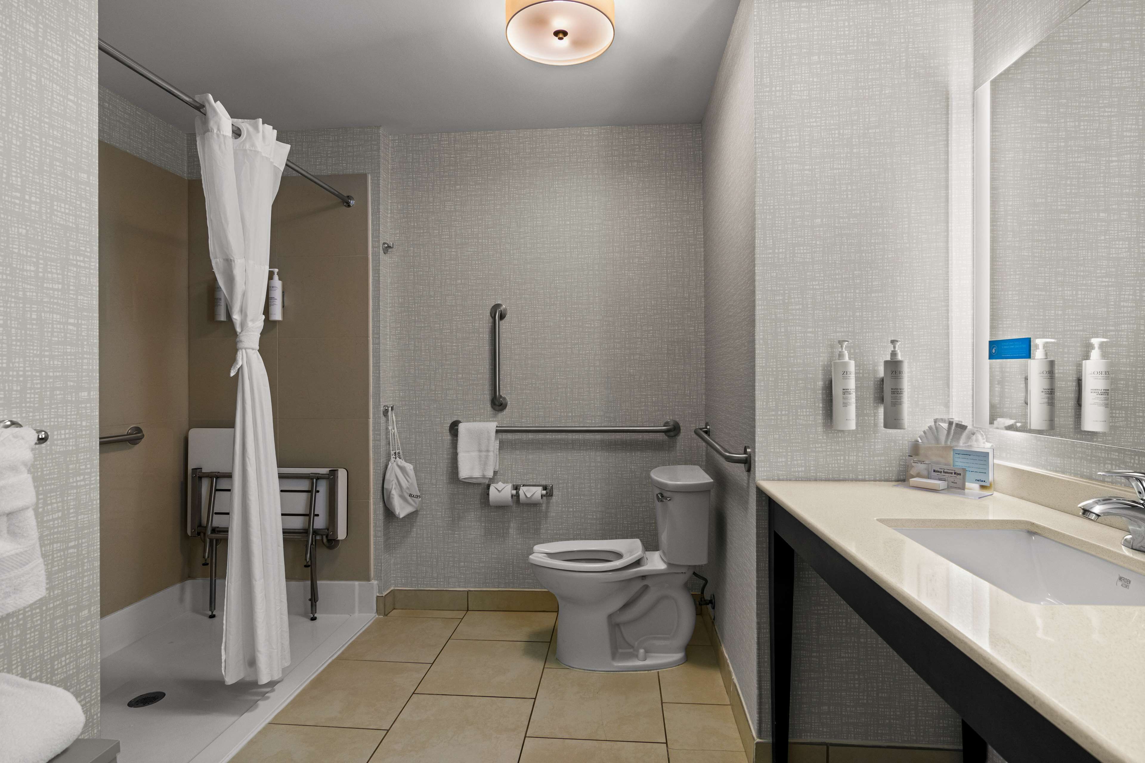 room, 1 king bed, accessible, non smoking | bathroom shower