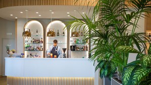 Een moderne receptie met een gebogen balie, glazen planken met verschillende flessen, en een grote kamerplant.