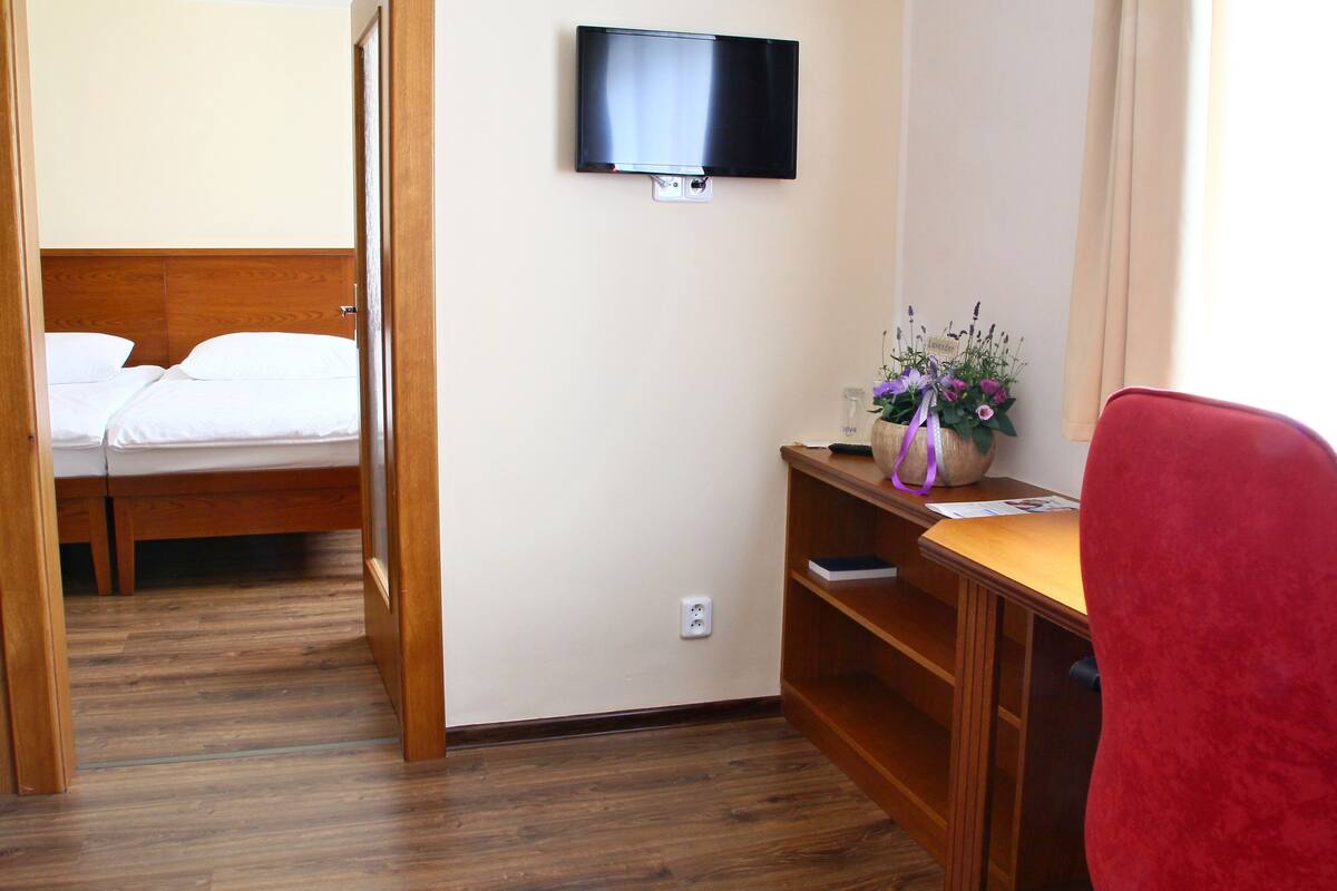 A hotel room with a bed, a desk with a chair, a television mounted on the wall, and a small plant on the desk.