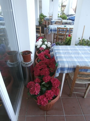 Terrace/patio - Elyssia Hotel (Pedhoulas)