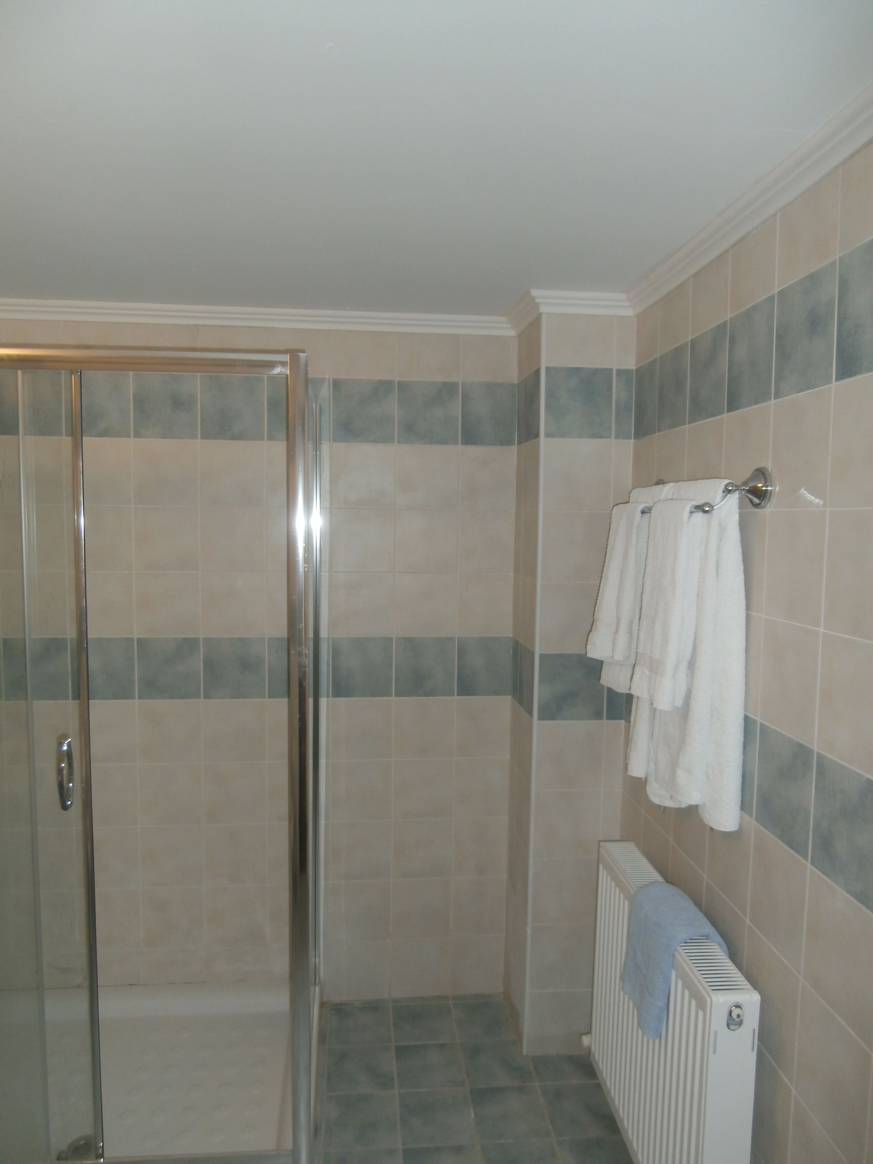 quadruple room | bathroom shower