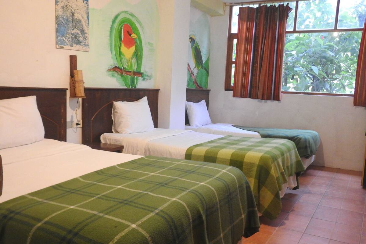 1 habitación, ropa de cama de alta calidad y colchones Tempur-Pedic 