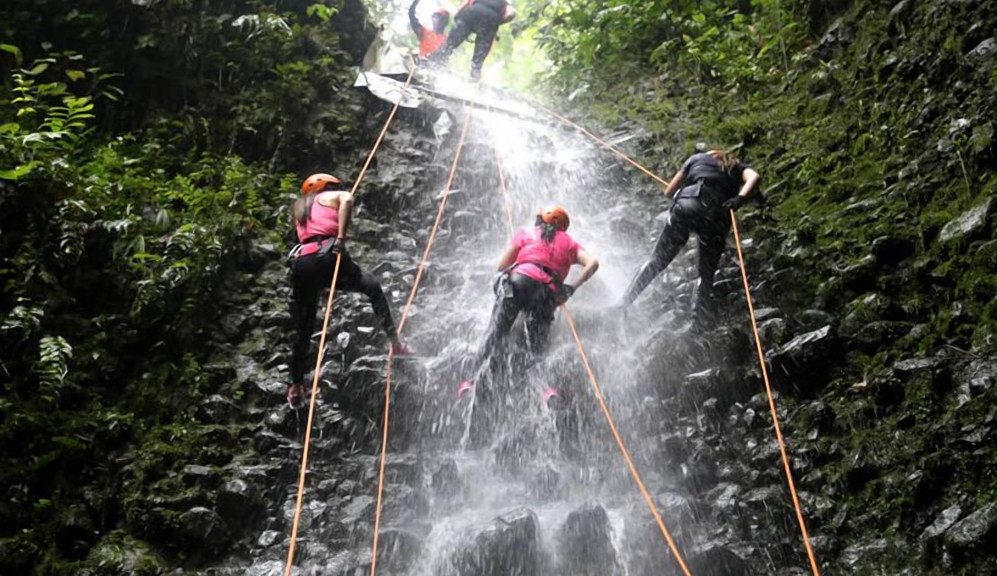 Foto - Biohostal Mindo Cloud Forest