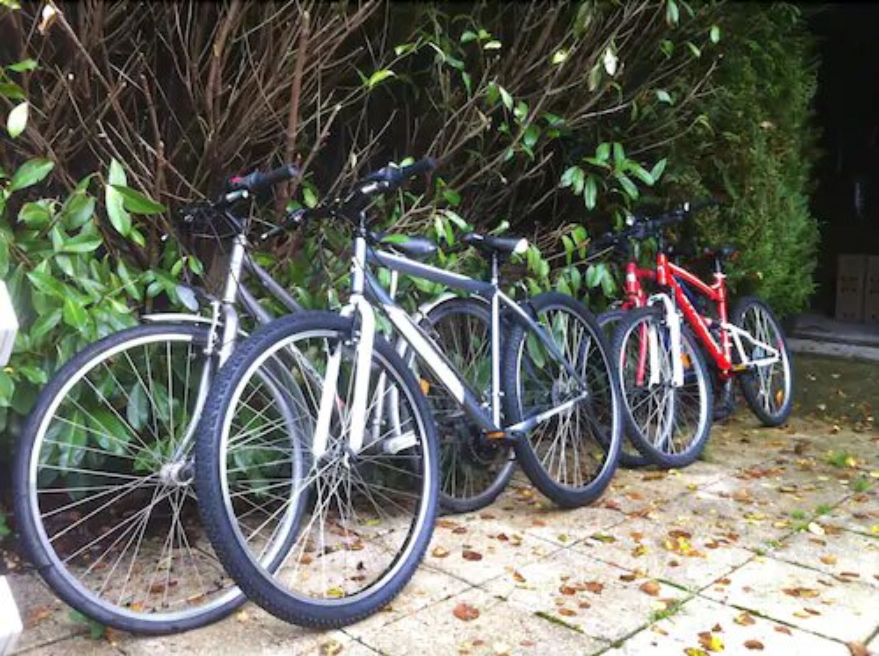 Varias bicicletas aparcadas sobre una superficie pavimentada, con un seto de fondo.