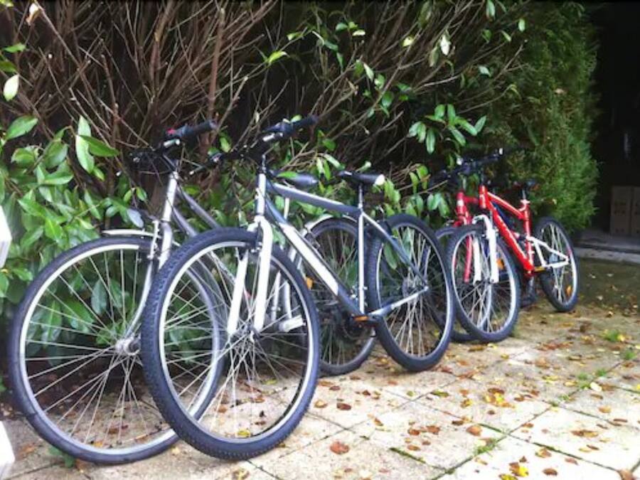 Varias bicicletas aparcadas sobre una superficie pavimentada, con un seto de fondo.