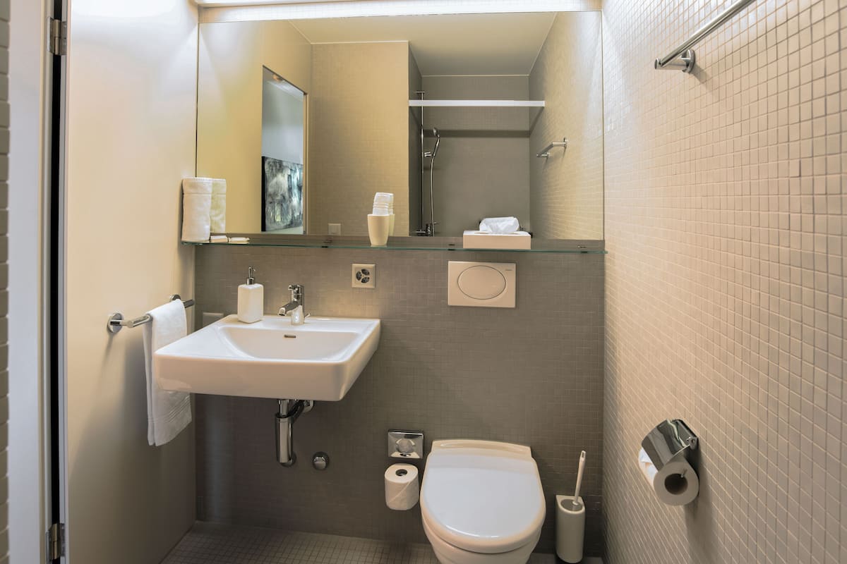 basic single room | bathroom | shower, free toiletries, hair dryer, towels