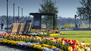 A garden with colorful tulips and a wooden bench area. - Hotel Kreuzlingen am Hafen (Kreuzlingen)
