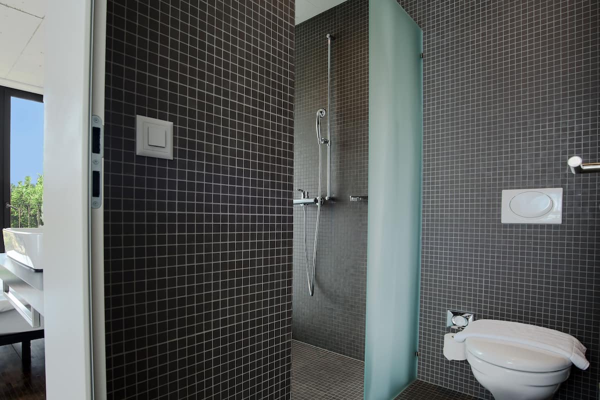 shower, free toiletries, hair dryer, towels