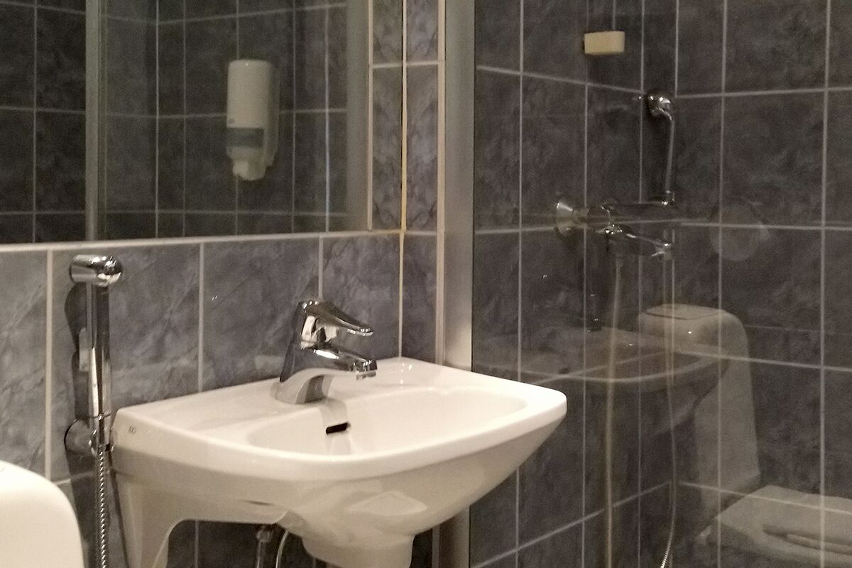 A bathroom with a white sink, a handheld showerhead, and a toilet.