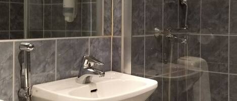 A bathroom with a white sink, a handheld showerhead, and a toilet.