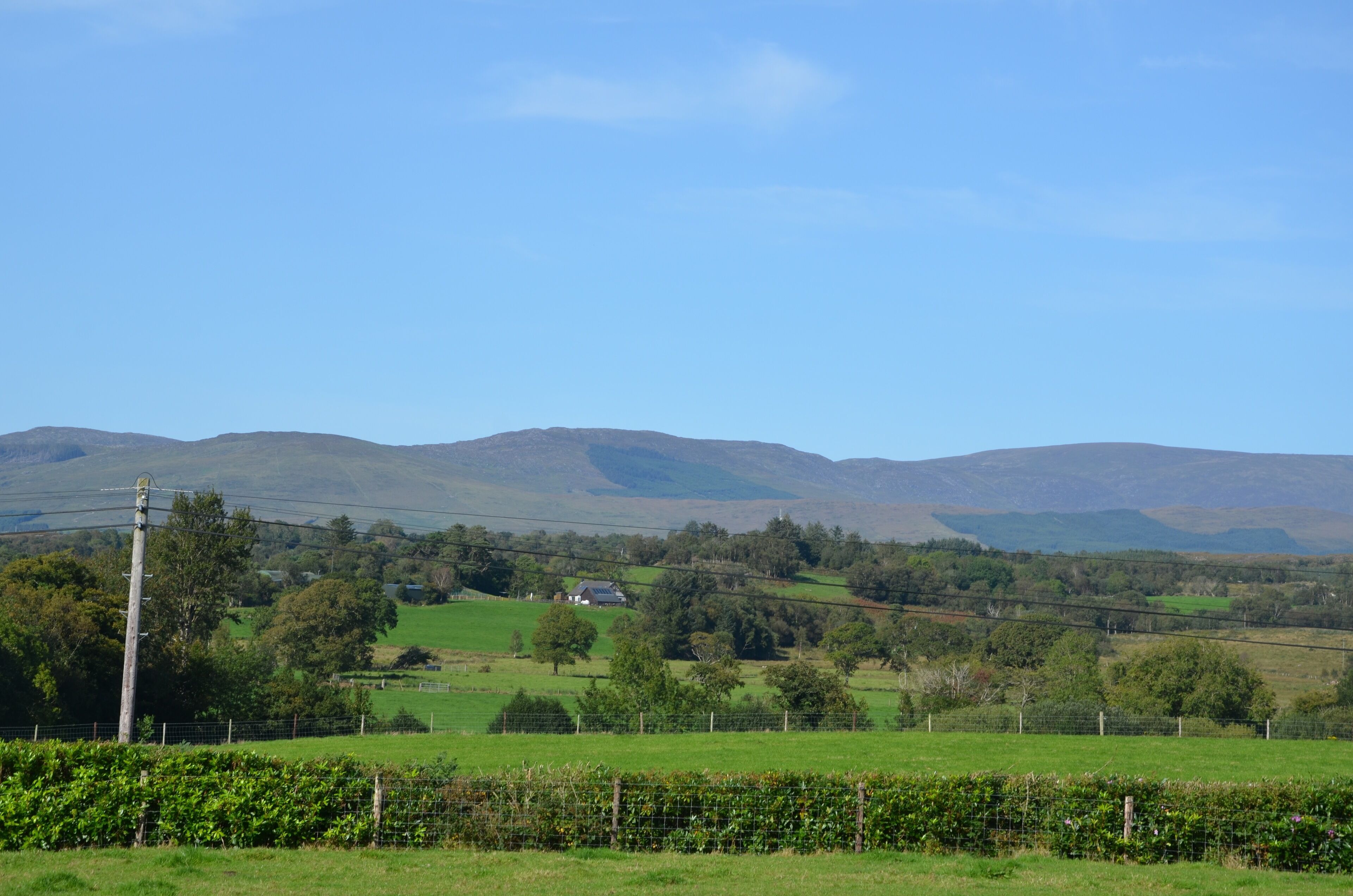 Room, Ensuite (Double/Single Room) | View from room