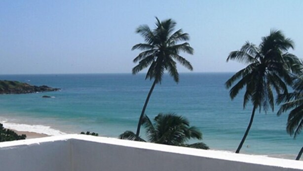 Vista de playa con palmeras y cielo despejado.