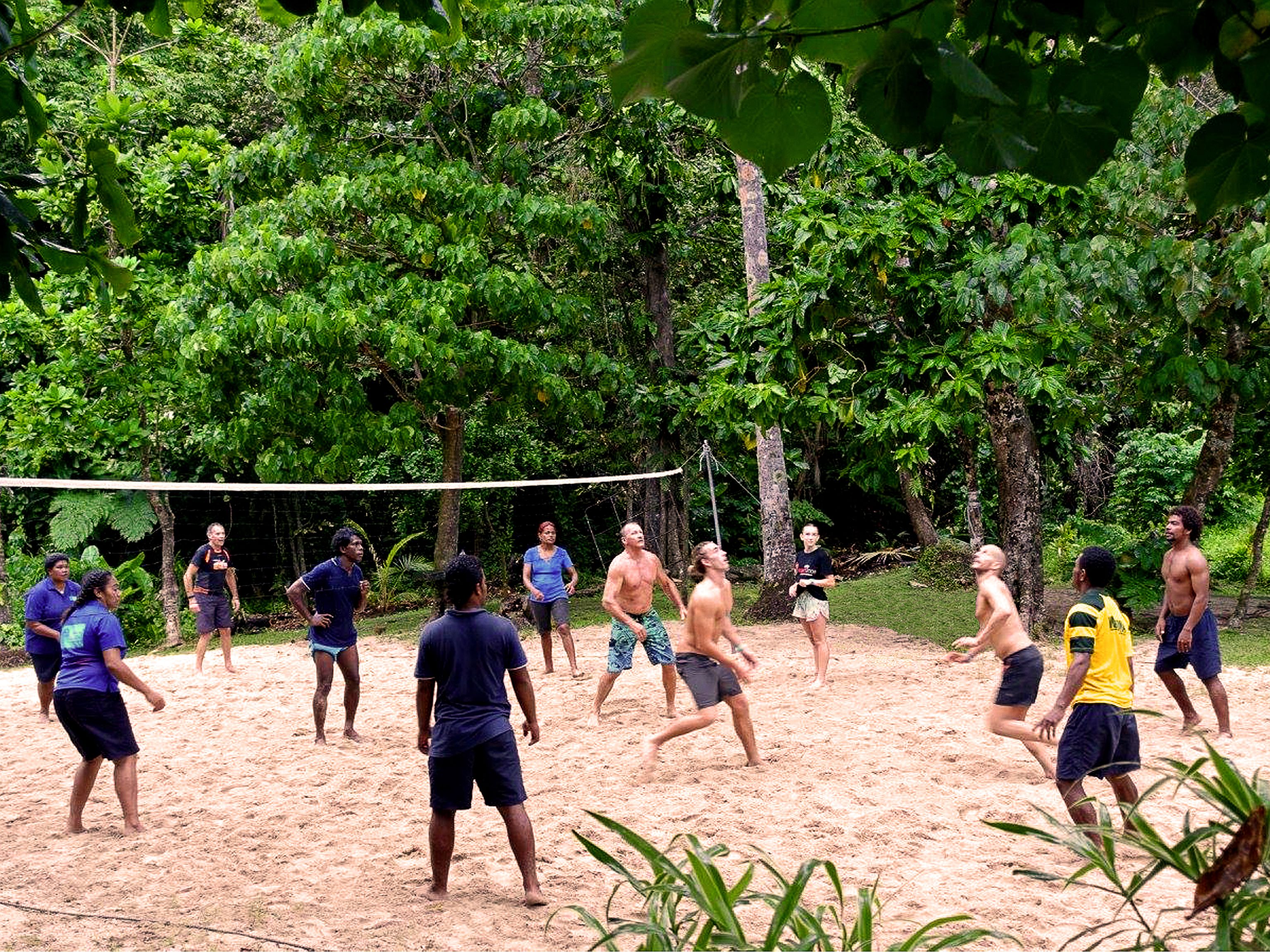 A group of people playing volleyball on a sandy beach with dense green foliage in the background.