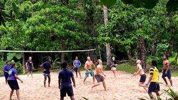 A group of people playing volleyball on a sandy beach with dense green foliage in the background.