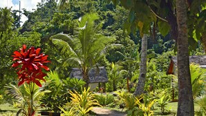 Un jardin tropical avec un sentier de terre menant à une construction au toit de chaume.