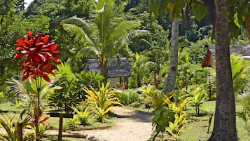 Jardí