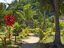 Jardín