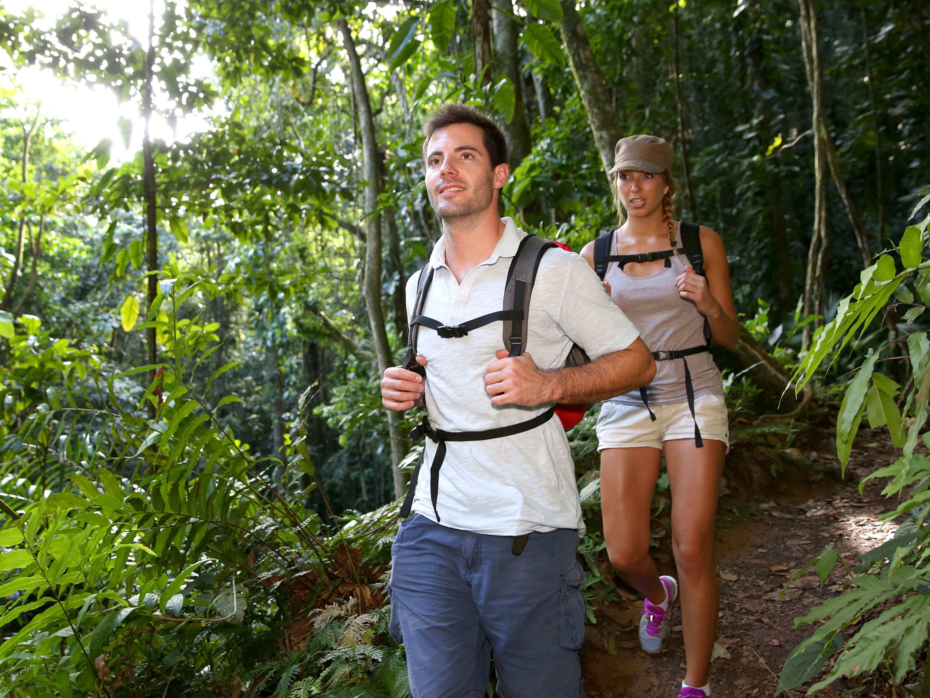 Two people hiking in a forested area.