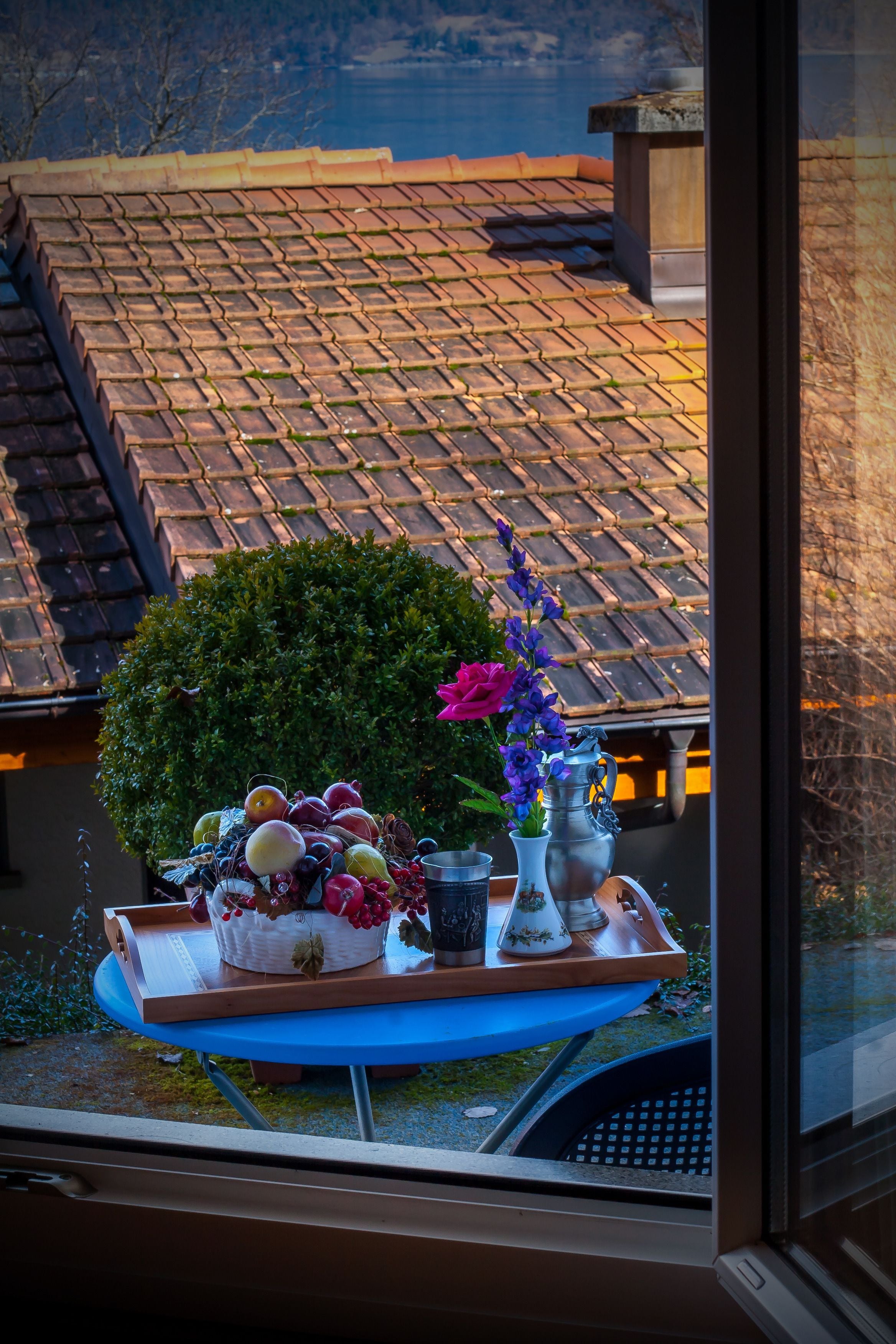 Vistas desde la habitación