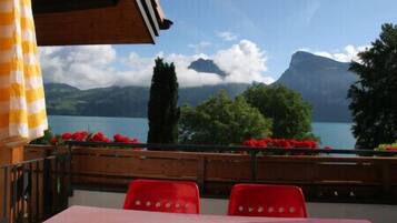 Vue sur les montagnes