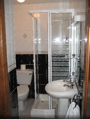 Un baño con inodoro, lavamanos y zona de ducha.