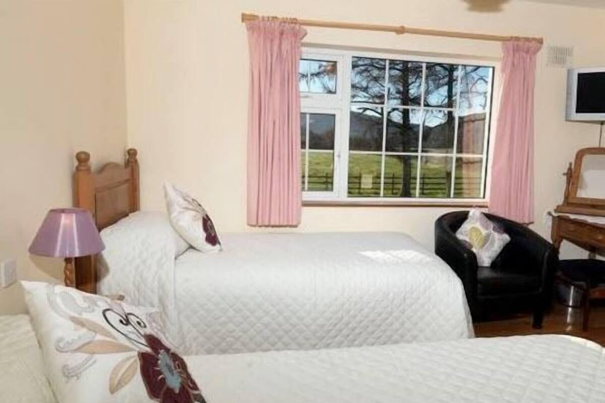 A bedroom with two beds, a desk, a chair, and a window with curtains.