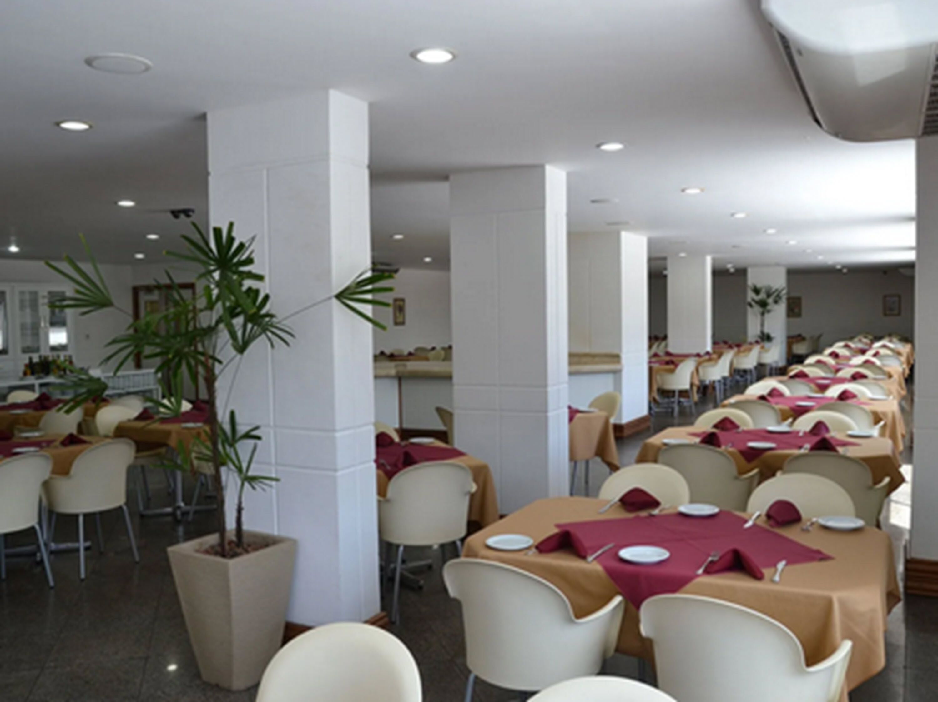 lunch and dinner served