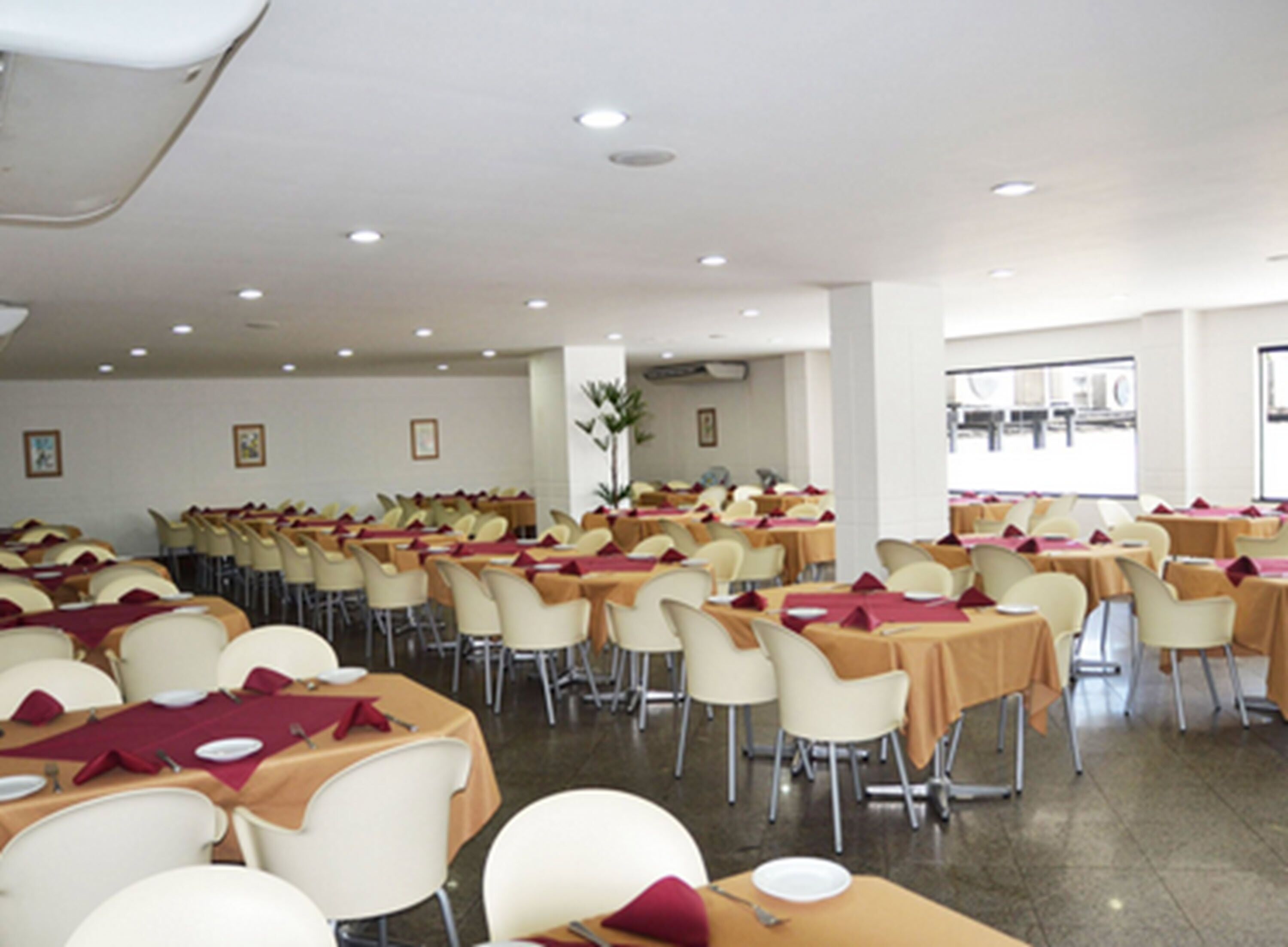 lunch and dinner served