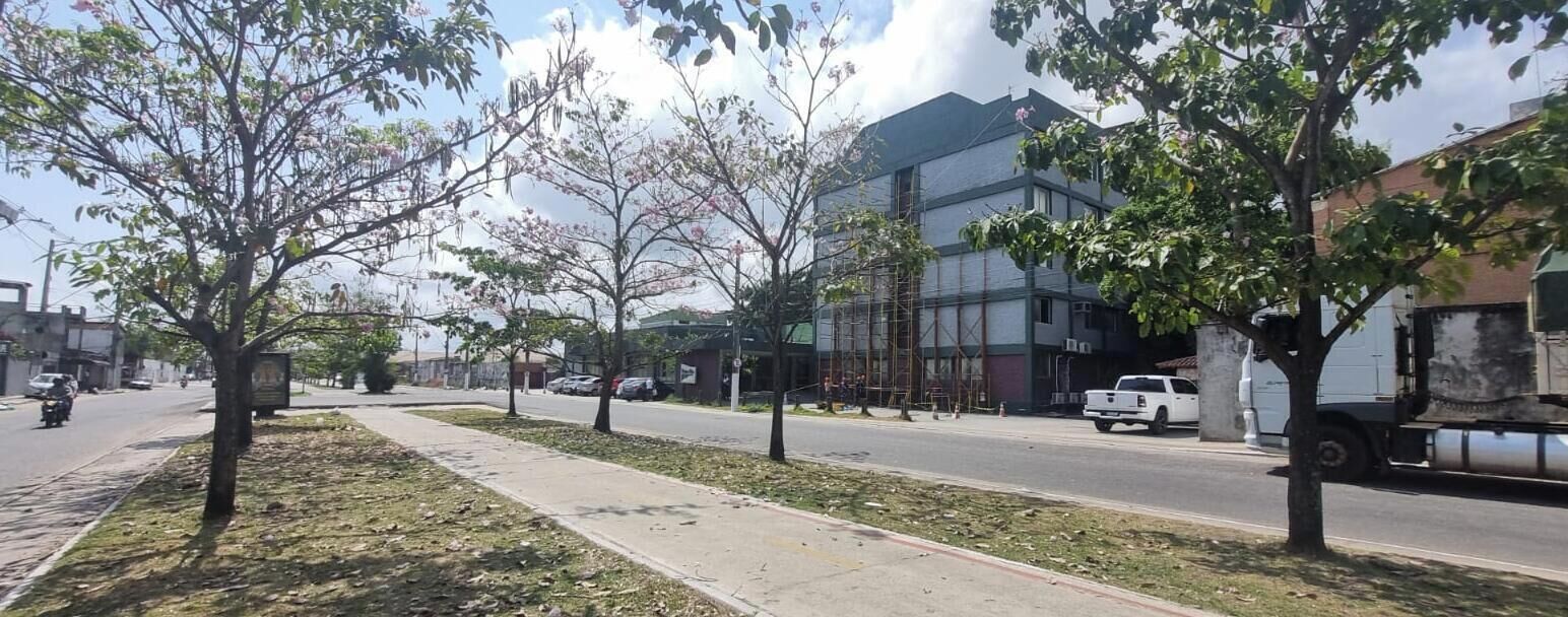 A street with trees, a sidewalk, and buildings.