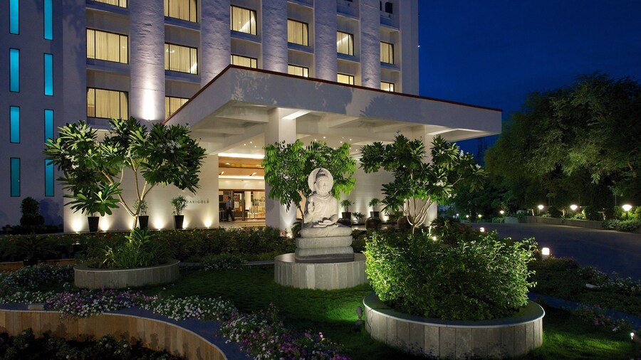 Marigold by Greenpark