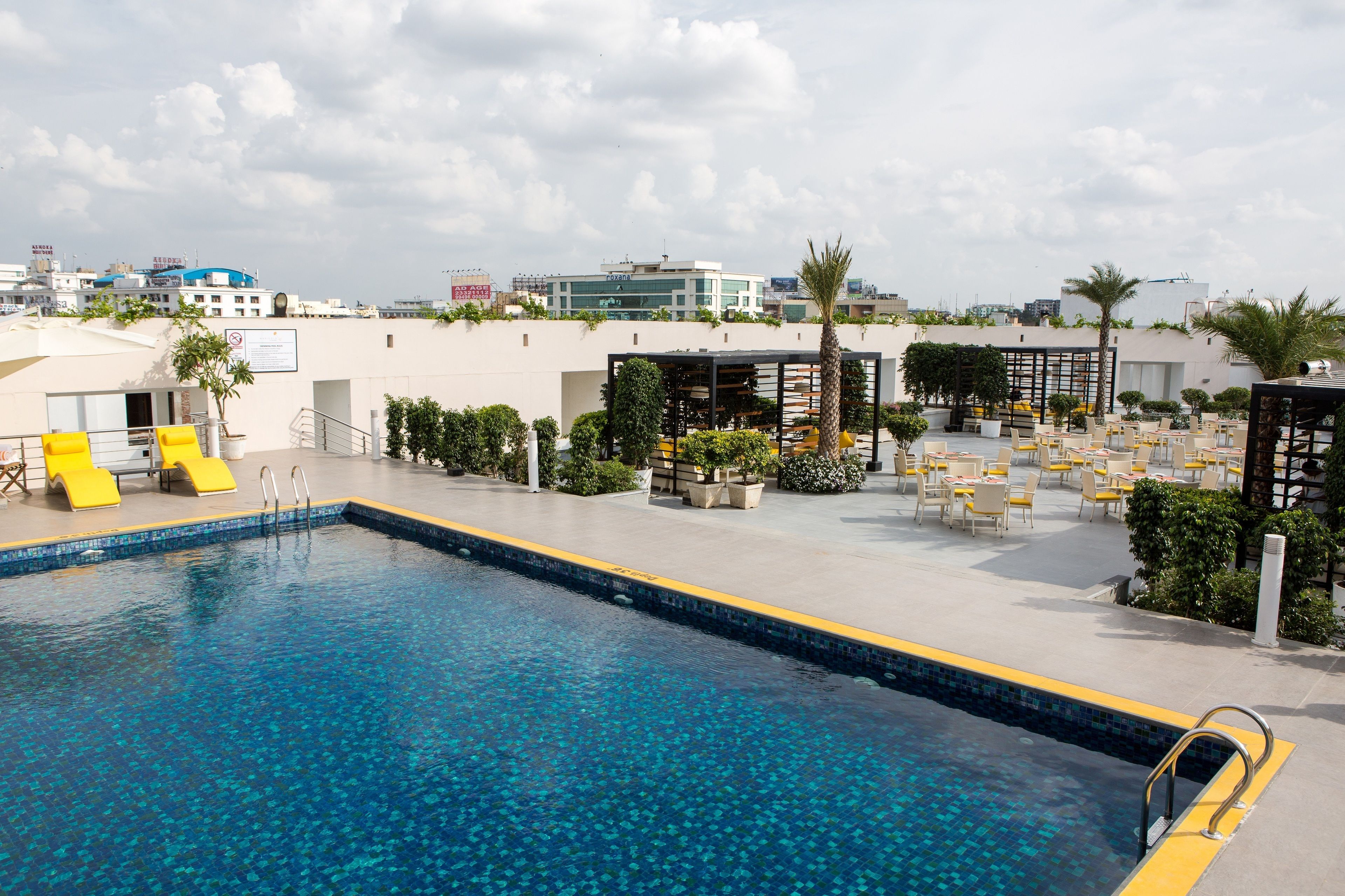Una piscina en la azotea con tumbonas amarillas, una palmera y un paisaje urbano al fondo.
