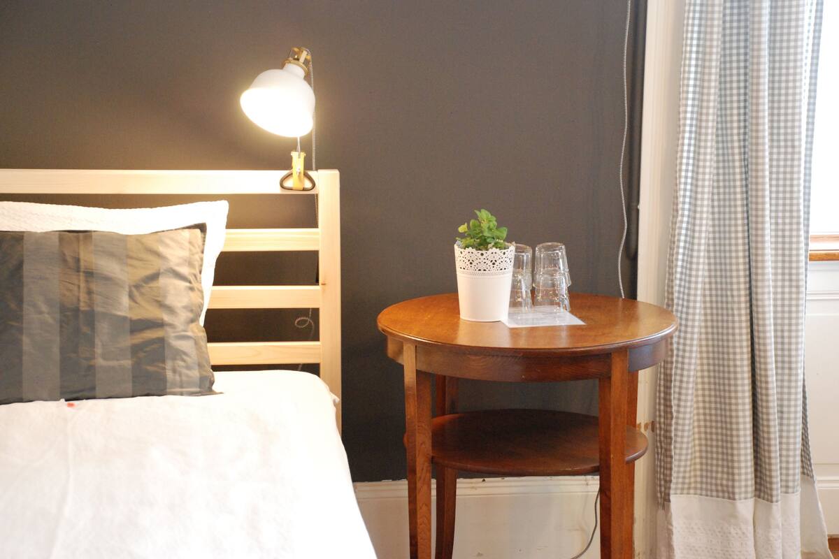 A neatly made bed with a pillow, a bedside lamp, a small table with a plant, and a checkered curtain.