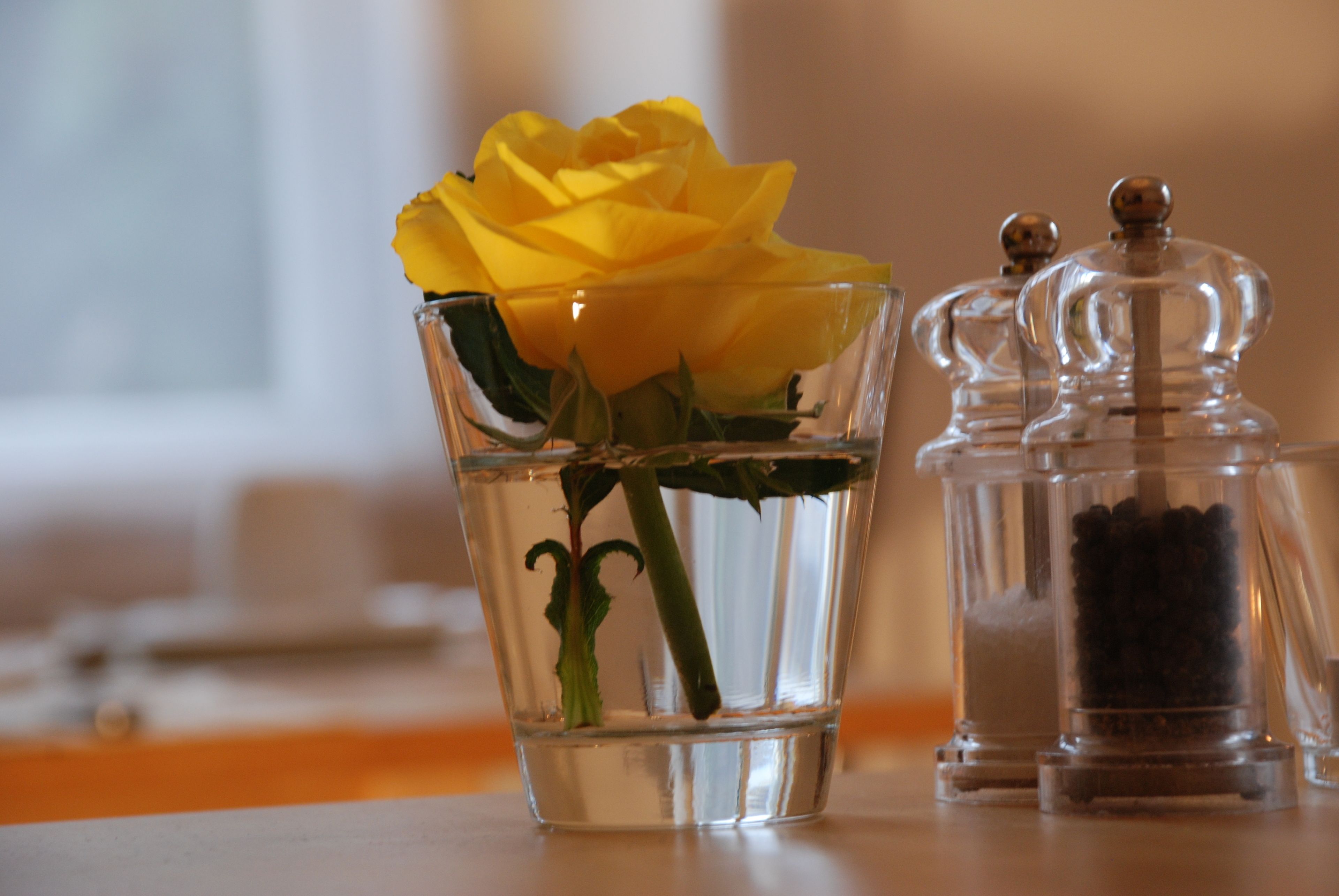 Photo - The Bed + Breakfast