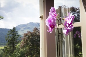 View from room - Hazel Bank Country House (Keswick)