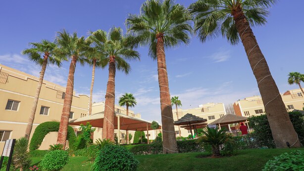 A courtyard with tall palm trees, a covered seating area, and buildings with balconies. - Boudl Al Malaz (Riyadh)
