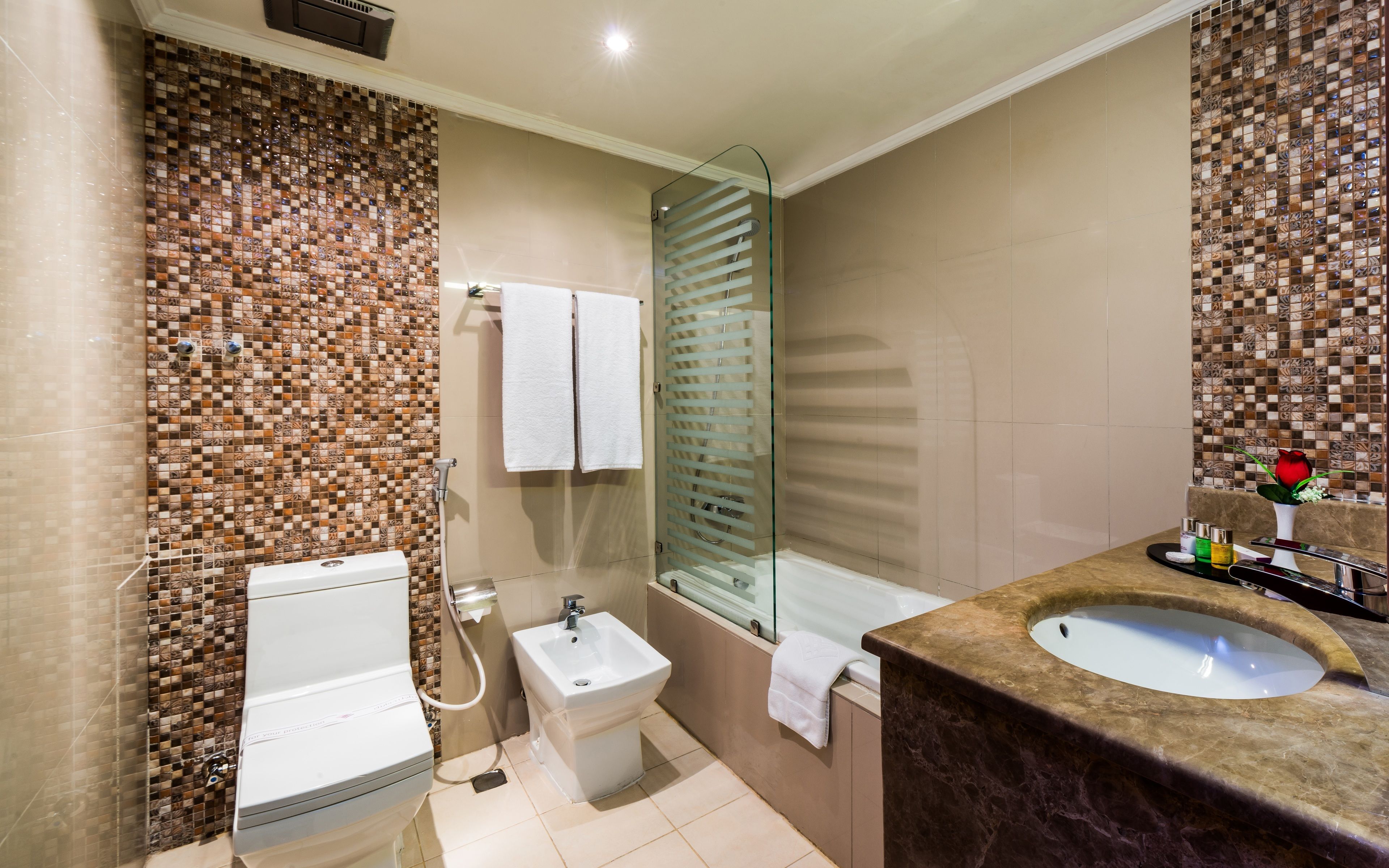 Hair dryer, slippers, towels