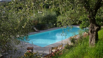 Seasonal outdoor pool, open 9:00 AM to 8:00 PM, pool umbrellas