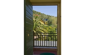 Vista desde un balcón con puerta verde, cerca un seto blanco y un jardín exuberante con palmeras y arbustos.