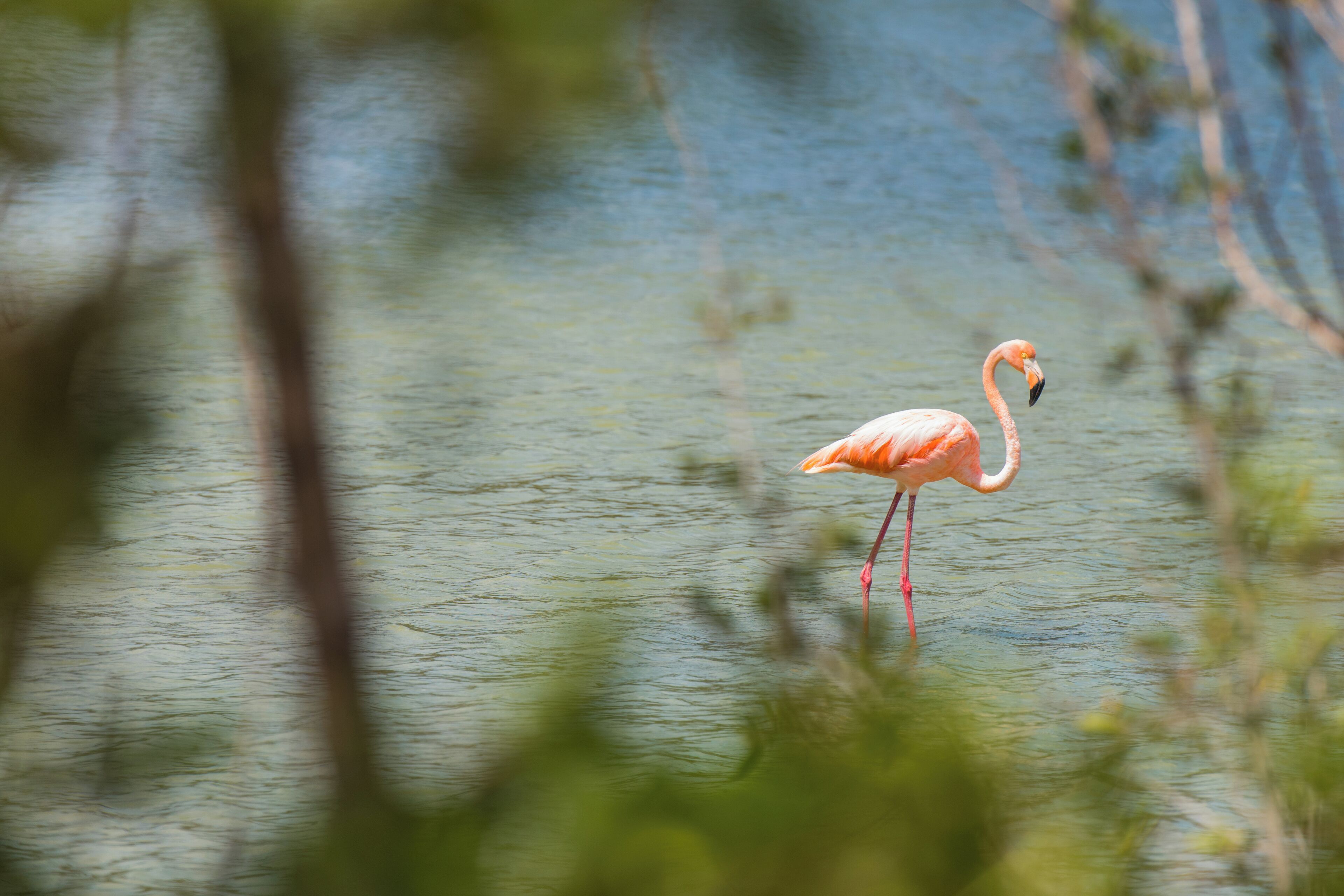 Foto - Bandabou Breeze Curacao