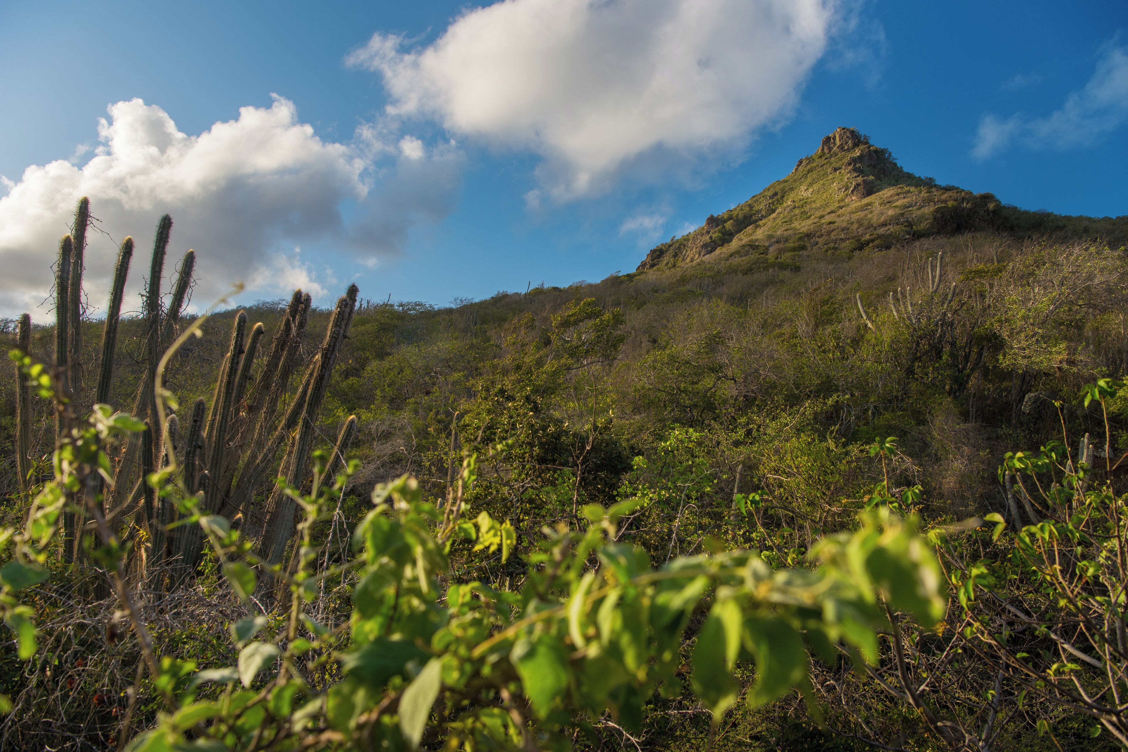 Foto - Bandabou Breeze Curacao