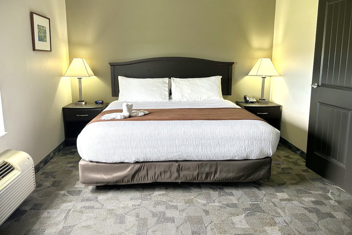 Una habitación de hotel con una cama grande, dos mesitas de noche con lámparas, un cuadro en la pared y una puerta.