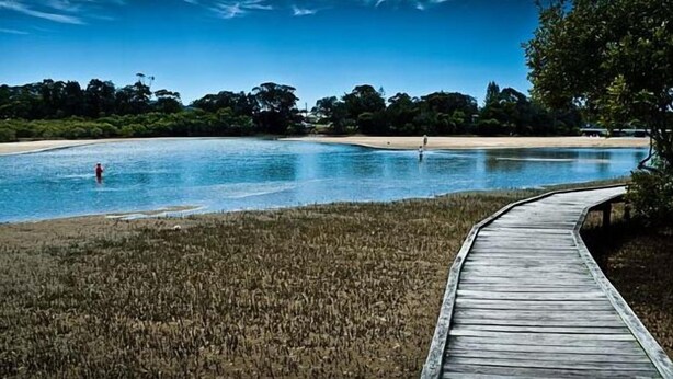 Un muelle de madera que conduce a una masa de agua tranquila, rodeada de zonas verdes y árboles.