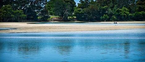 A beach with calm water, trees, and a person in a kayak.