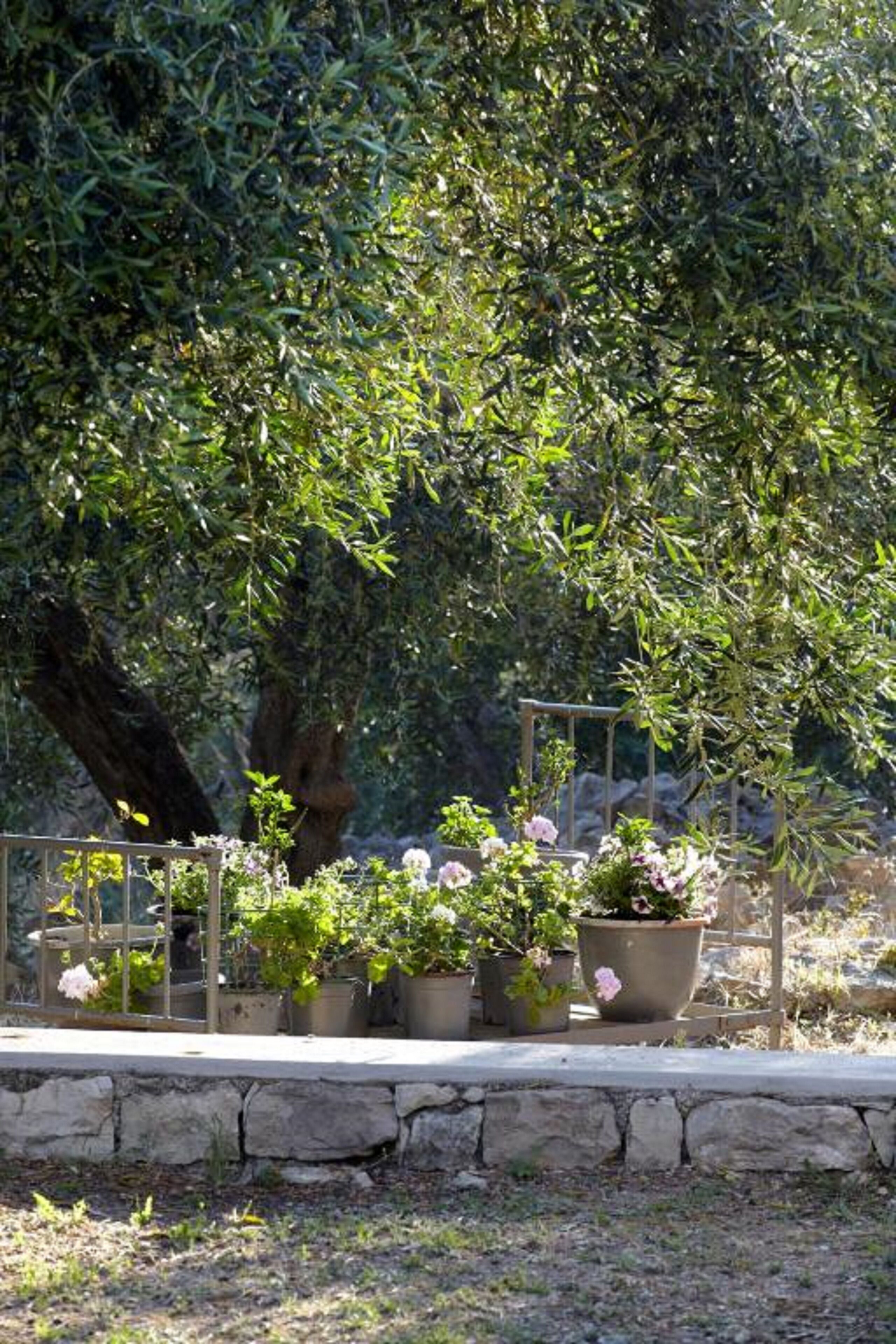 Photo - Torri E Merli Boutique Hotel