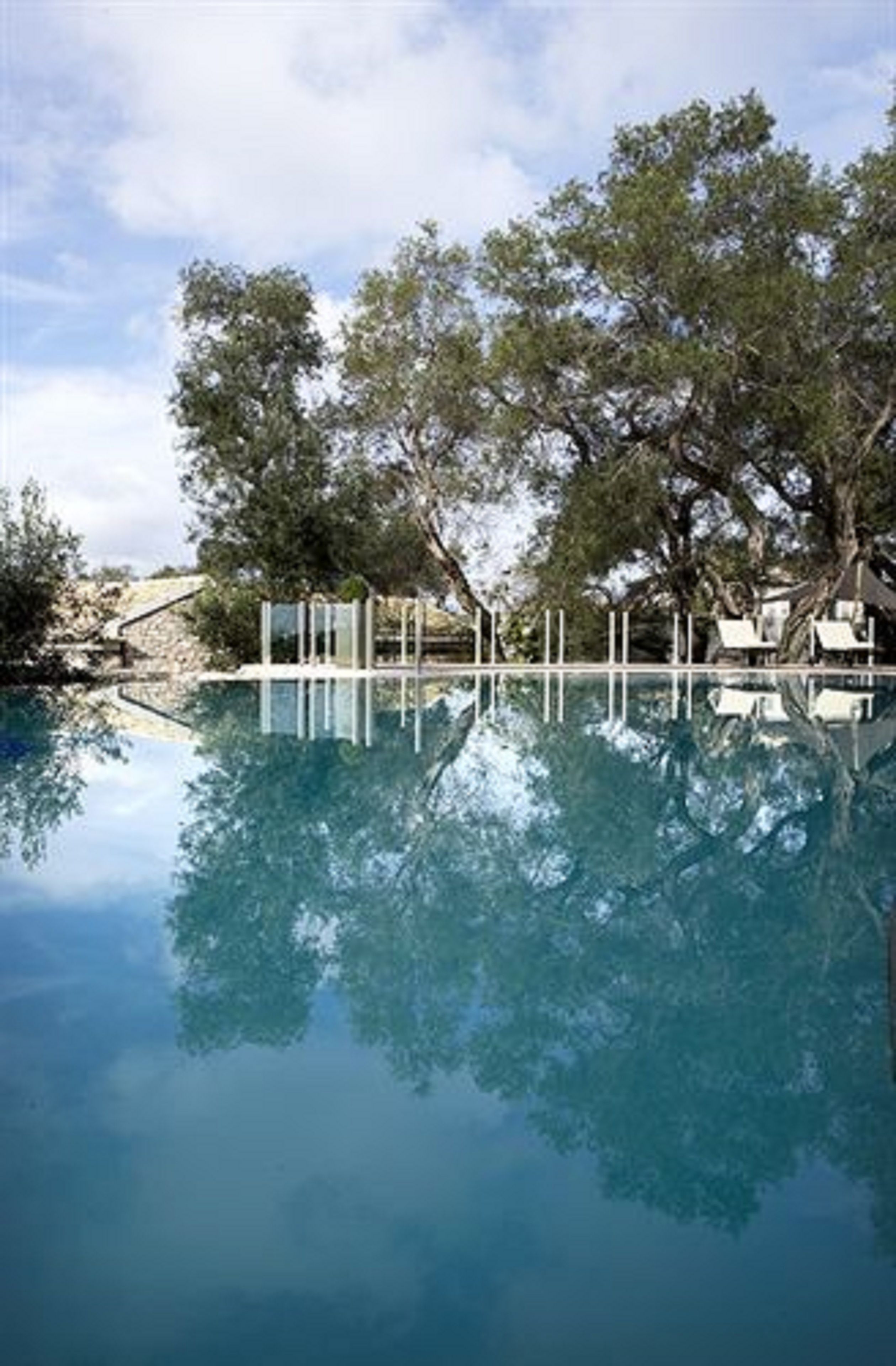 Una piscina cristalina con reflejos de árboles y un cielo despejado.