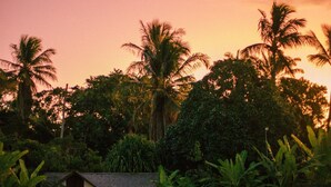 Uma casa rodeada por vegetação exuberante e palmeiras ao pôr do sol.