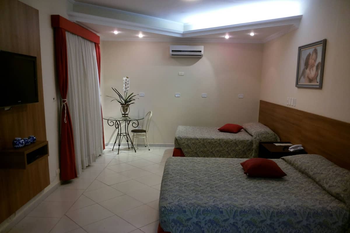A hotel room with two beds, a TV, a small table with a plant, and an air conditioning unit.